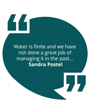 environment-quote-sandra-postel-eco-friendly-cleaning-products-india